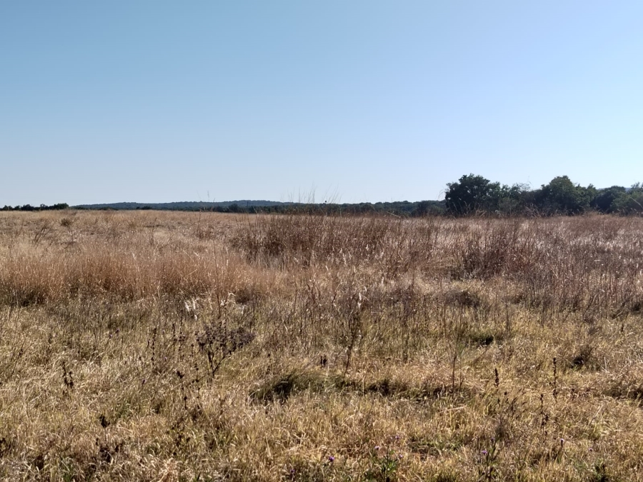 Commercial Property for Sale in Swartruggens North West